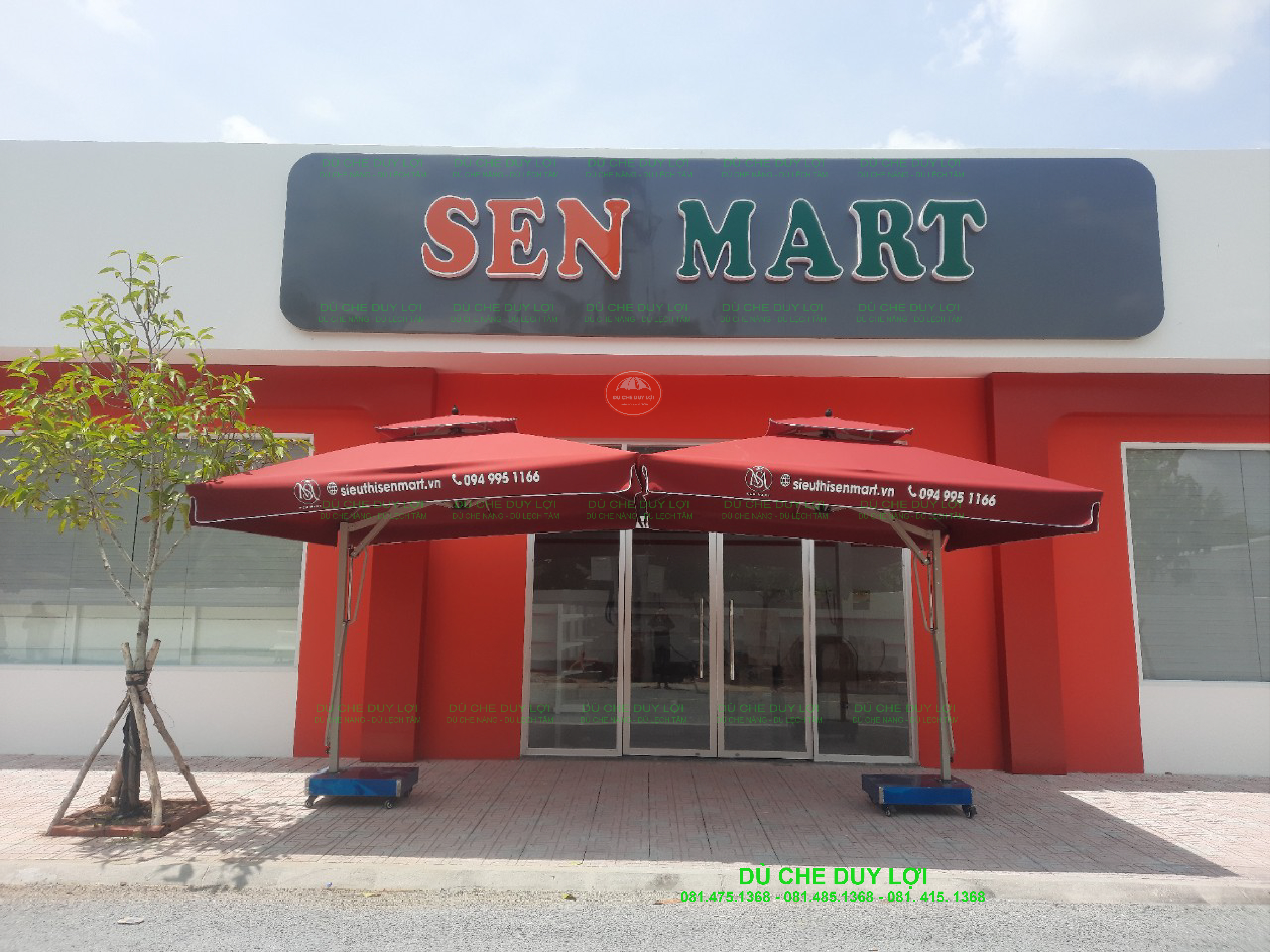 Mô phỏng dù đứng tâm quán cafe